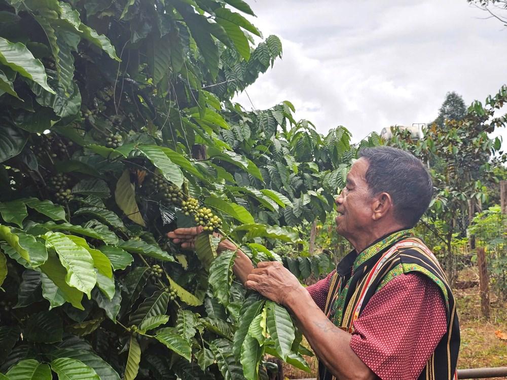 Người gìn giữ nếp nhà nơi biên viễn - ảnh 1